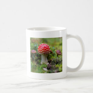 Caneca De Café Beleza de Outono