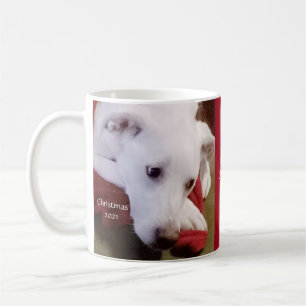 Caneca De Café Belo Cachorro Branco Neve Vermelho