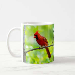 Caneca De Café Belo Cardeal Vermelho Brilhante em uma ramificação