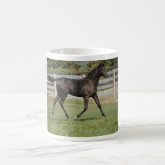 Caneca De Café Belo Cavalo Correndo em um campo