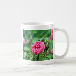 Caneca De Café belos botões de rosa selvagem rosa e flor