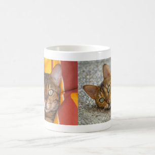 Caneca De Café Bengala Gato