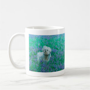 Caneca De Café Bichon Frise em Bluebonnets