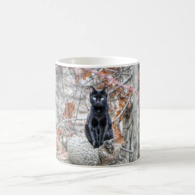 Caneca De Café Black Cat Sitting Outdoors (Centro)