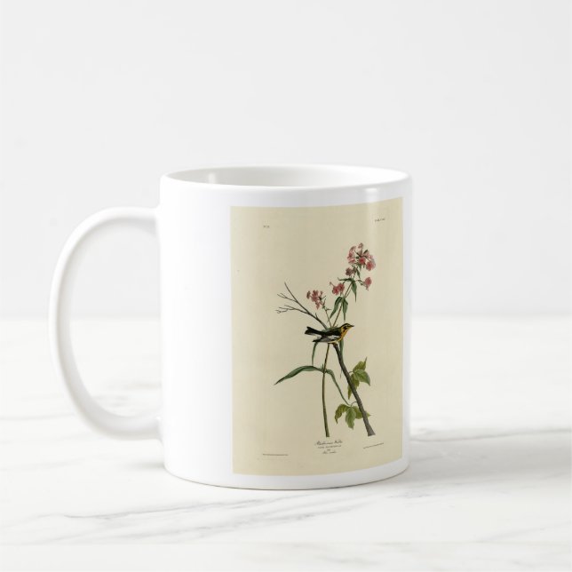 Caneca De Café Blackburnian Warbler - Aves da América da Audubon (Esquerda)
