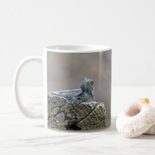 Caneca De Café Blue Belly Alligator Lizard