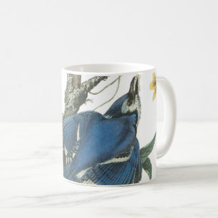 Caneca De Café Blue Jay by Audubon