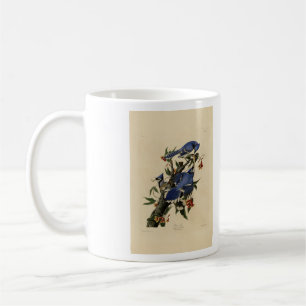 Caneca De Café Blue Jay - Pássaros da América de John James Audub