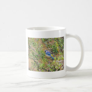 Caneca De Café Blue Jay sobre Myrtle da Cera do Sul