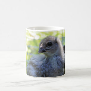 Caneca De Café Bluebell