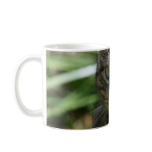 Boa Manhã, Cat Mug