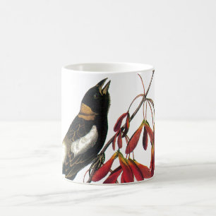 Caneca De Café Bobolink por Audubon