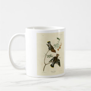 Caneca De Café Bohemian Chatterer (Waxwing) Audubon Birds América