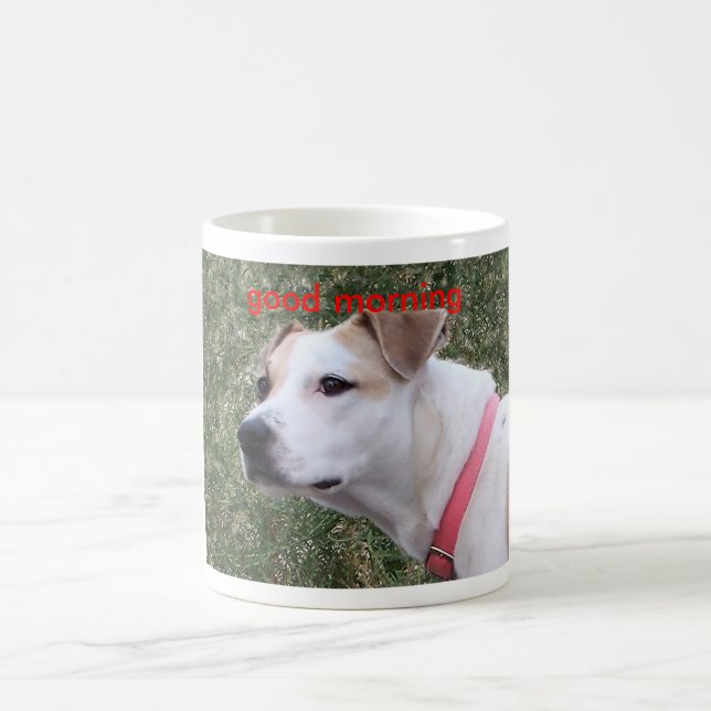 Caneca De Café , bom dia (Centro)