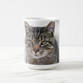 Caneca De Café Bonita, doce, adorável, gato Mug