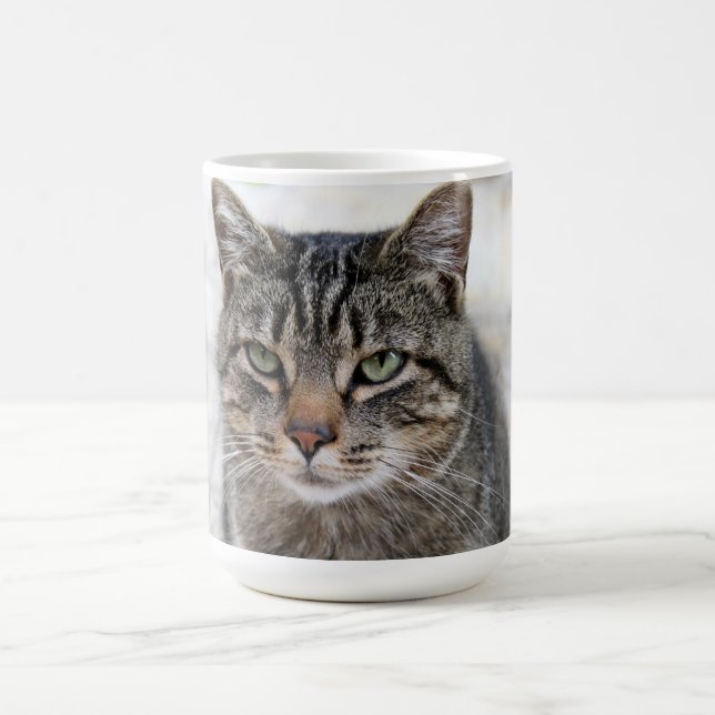 Caneca De Café Bonita, doce, adorável, gato Mug (Centro)