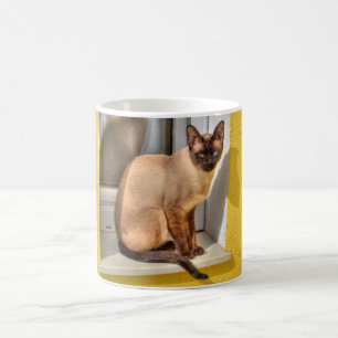 Caneca De Café Bonita Gato Siamês