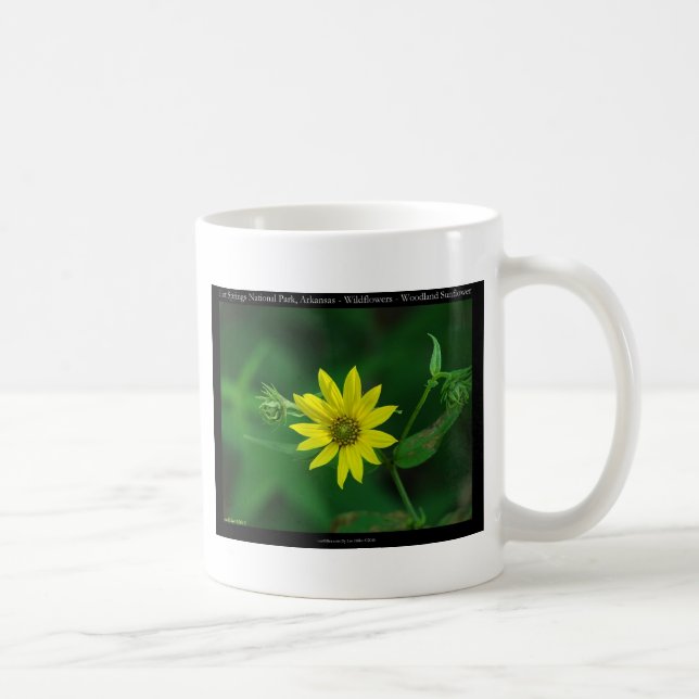 Caneca De Café Bonitos Primaveras Parque Nacional Madeira Dobras  (Direita)