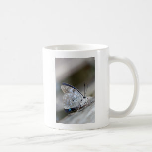 Caneca De Café Borboleta Cinza azul