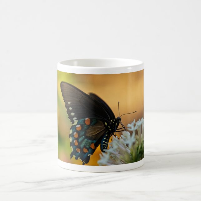 Caneca De Café Borboleta-do-pântano (Centro)