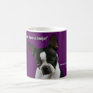 Caneca De Café Boston Terrier:  Biscoito por favor?