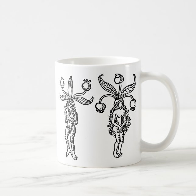 Caneca De Café Botânica: Mandrake, 1476 (Direita)