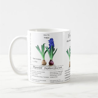 Caneca De Café Botanical mug Hyacinth in my garden.