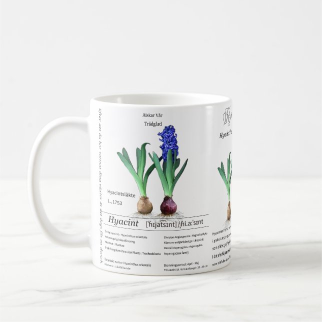 Caneca De Café Botanical mug Hyacinth in my garden.  (Esquerda)