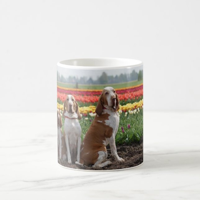 Caneca De Café Bracco_italiano group.png (Centro)
