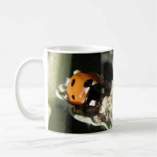 Caneca De Café British 7 Spot Ladybug Mug
