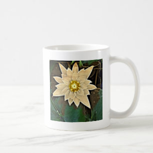 Caneca De Café Budismo Zen Nova Idade Yoga Namaste White Lotus