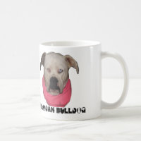 Buldogue americano