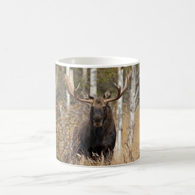 Caneca De Café Bull Moose Impressionante (Centro)