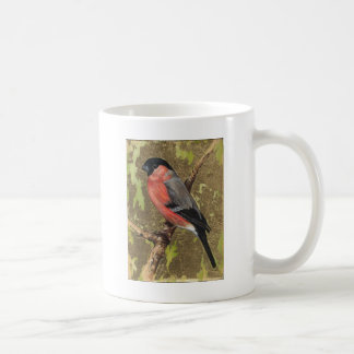 Caneca De Café Bullfinch