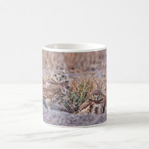 Caneca De Café Burrowing corujas