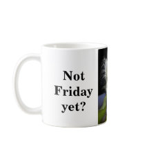 Cabelo da sexta-feira de Timmy