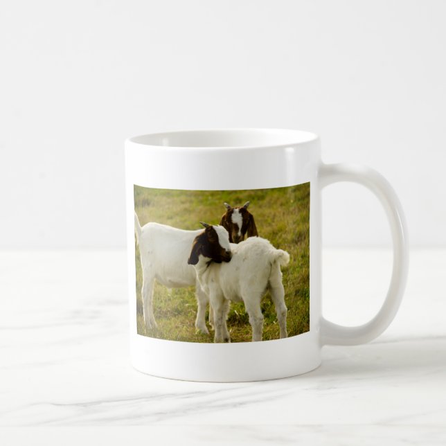 Caneca De Café Cabras Boer Fofas no Pasto Ensolarado Animais de F (Direita)