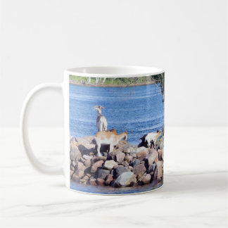 Caneca De Café Cabras sobre Rochas