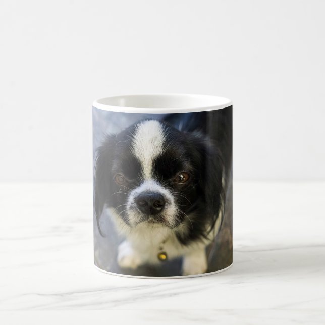 Caneca De Café cachorrinho fofo (Centro)