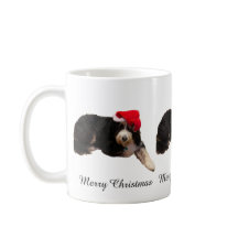 Cachorro adorável usando um chapéu de Papai Noel n