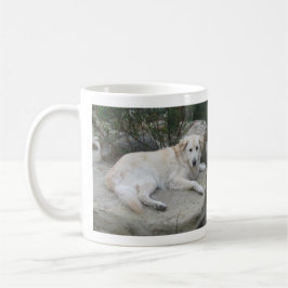 Caneca De Café Cachorro Descansando Em Uma Rocha