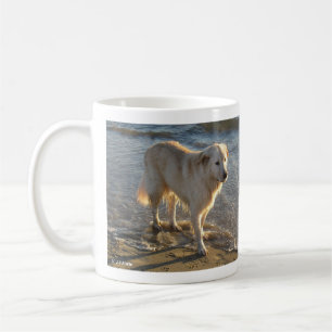 Caneca De Café Cachorro Na Praia