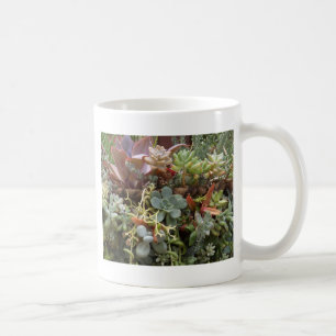 Caneca De Café Cactos multicolorido