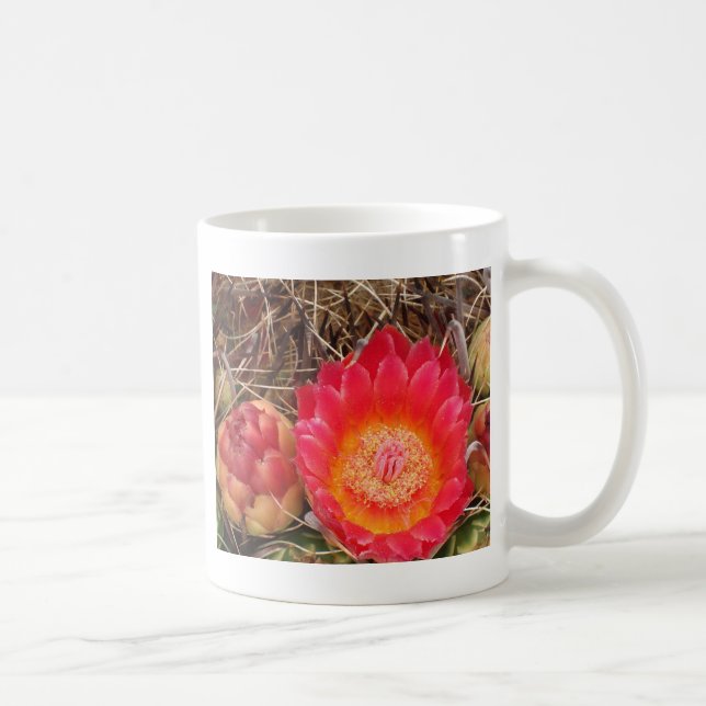 Caneca De Café Cactus Floral Photo Southwest Desert Flower (Direita)