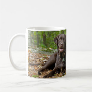 Caneca De Café Cães Cachorros Cachorros Puppies Black Lab Chocola