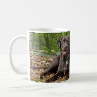 Caneca De Café Cães Cachorros Cachorros Puppies Black Lab Chocola
