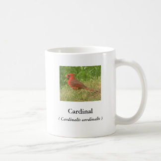 Caneca De Café Café Cardeal