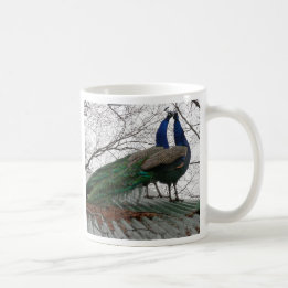 CANECA DE CAFÉ CAFÉ COM IMAGEM PEACOCK
