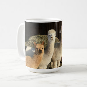 Caneca De Café Café Mug - Alpacas no Sol de inverno