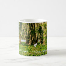 Café Mug - Caddo Lake Cypress & Bird-001